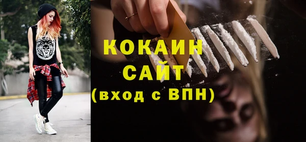 сатива Няндома