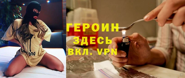 сатива Няндома