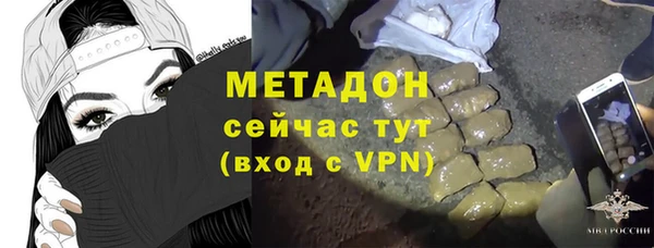 сатива Няндома