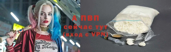 сатива Няндома