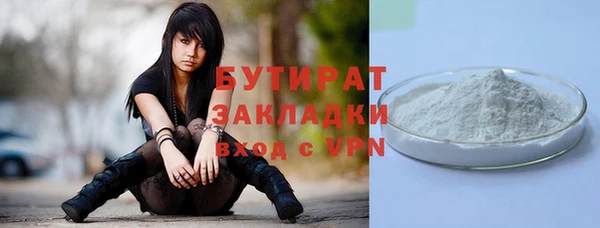 сатива Няндома