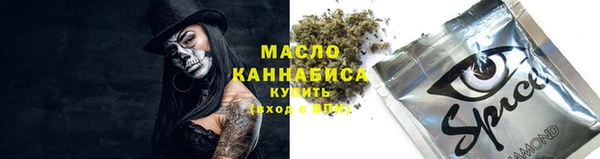 сатива Няндома