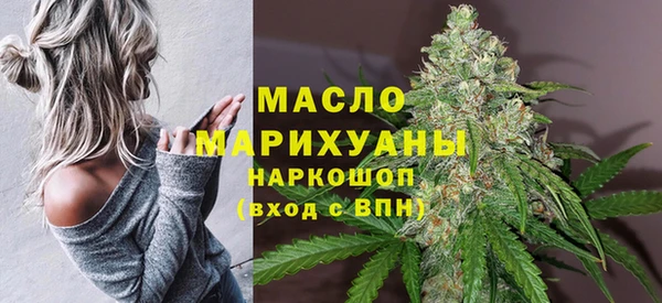 сатива Няндома