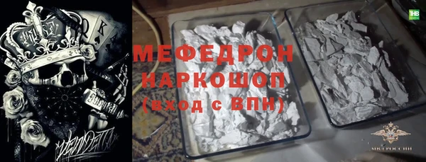 сатива Няндома