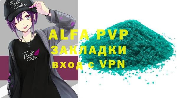 сатива Няндома