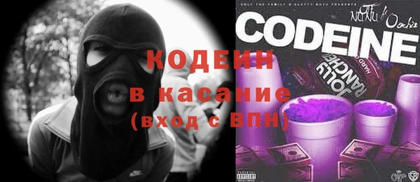 сатива Няндома
