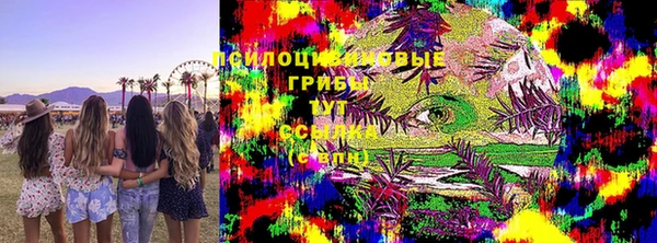 сатива Няндома