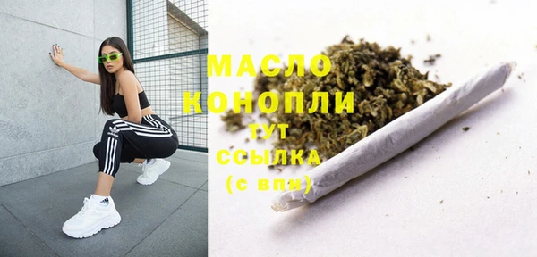 сатива Няндома