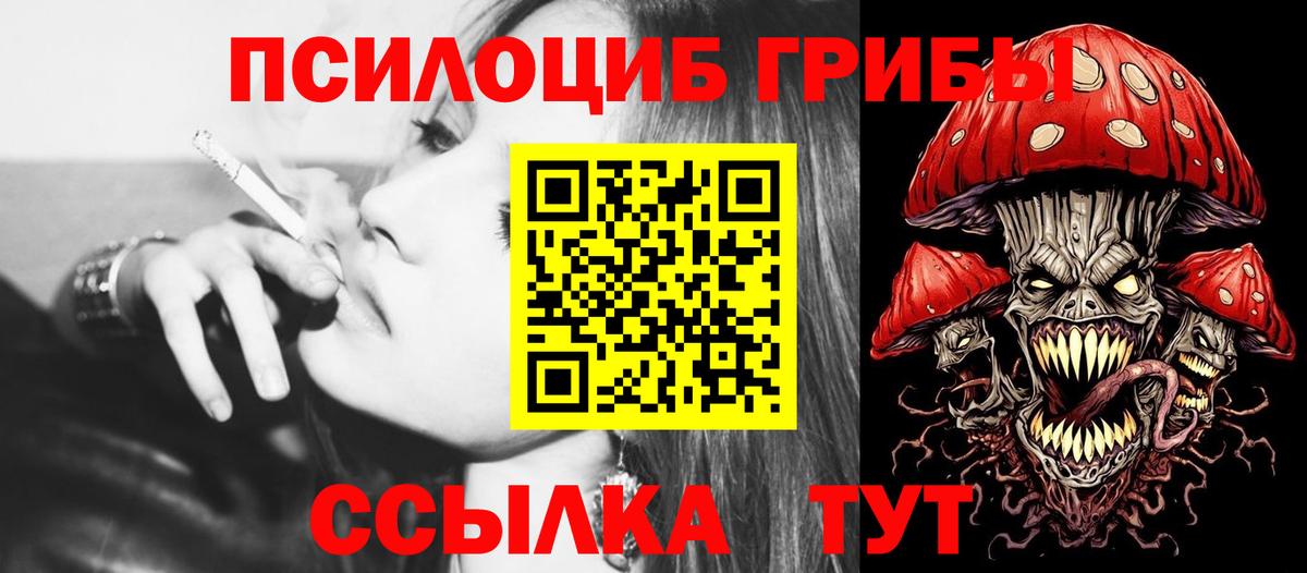 Галлюциногенные грибы Cubensis  Вход с VPN  Котовск 